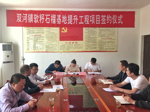 陕西J9集团集团签约旬阳县双河镇软籽石榴种植基地提升工程项目